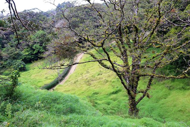 Curi Cancha Wildlife Refuge